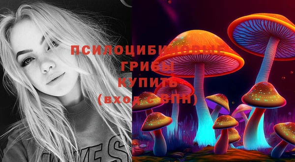 соль курить ск Арсеньев