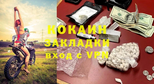 прущие грибы Аркадак