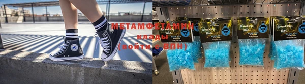 прущие грибы Аркадак